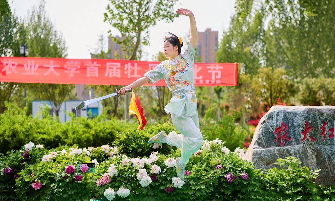 永利皇宫赌场
