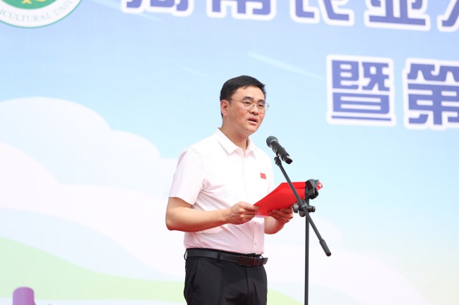 �����ʹ��ĳ�